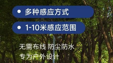 2026 太阳能交通电子哨兵推荐：杭兴智能HXA-P002 智慧安全预警