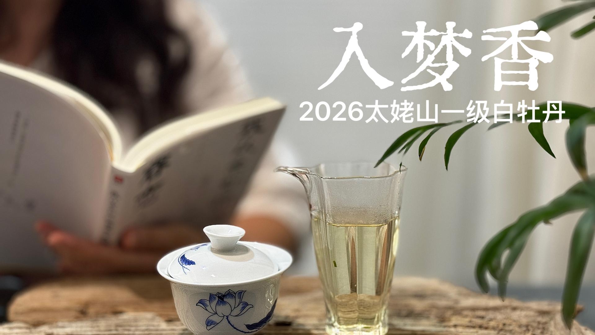 茶圈3大骗局，新手踩坑率90%，老茶客也频频中招！
