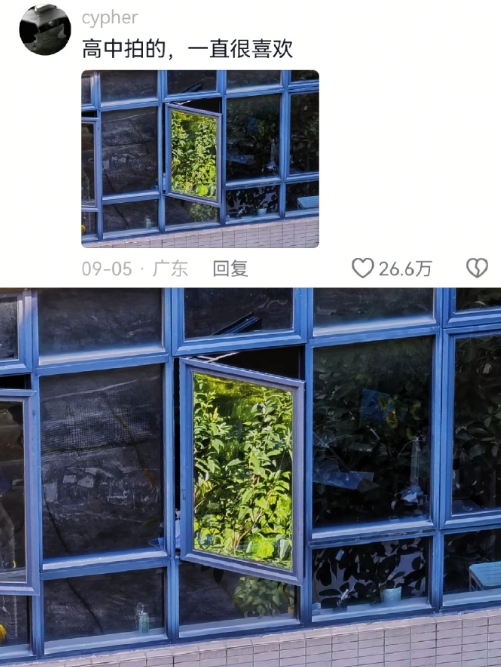 第一个发现这个机位的是天才吧 ​

