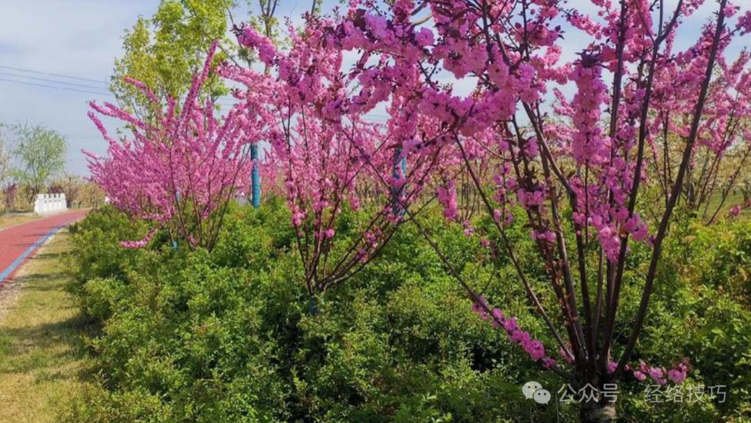 夏季易“上火”！3款家常汤，给身体灭灭火，润燥生津还解渴，全家都爱喝