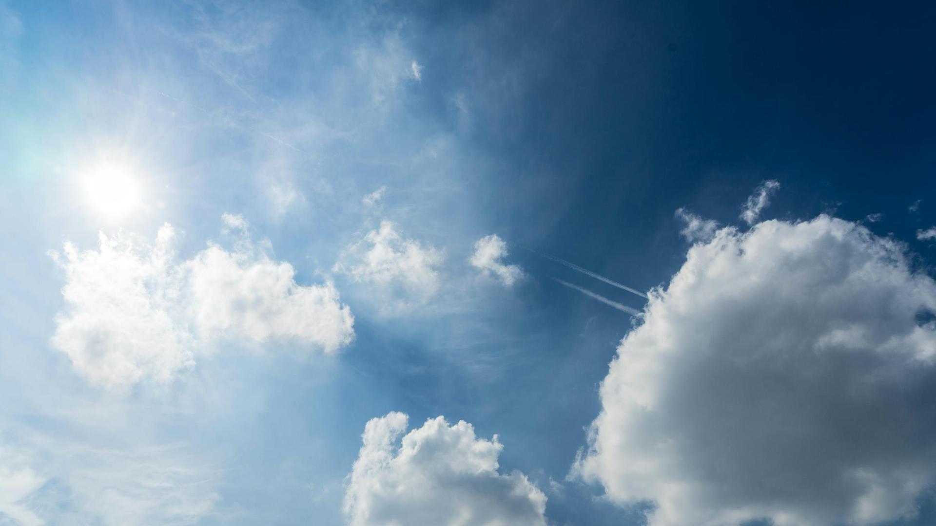 青岛安遇咨询：感情到最后，男人都离不开这样的女人