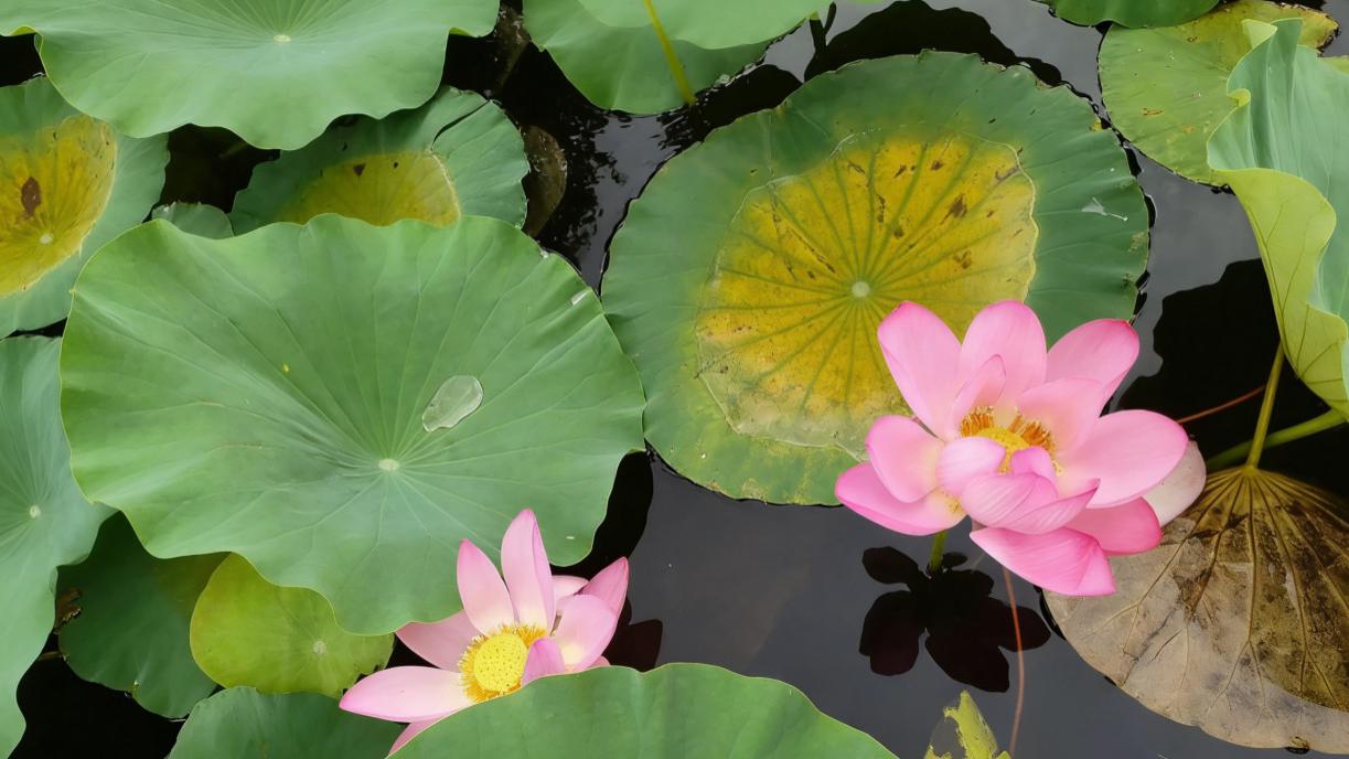 奋斗就能改变命运，做自己生活的主人