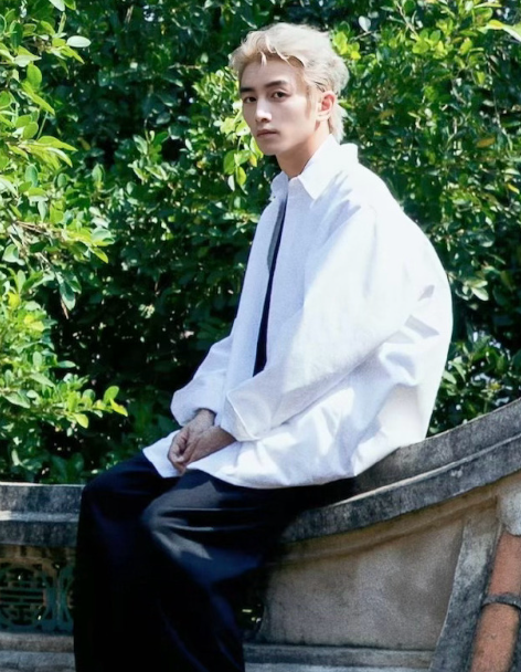 就是很喜欢绿叶和衬衫的他