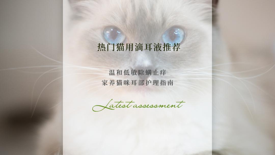 2026热门猫用滴耳液推荐：温和低敏除螨止痒 家养猫咪耳部护理指南
