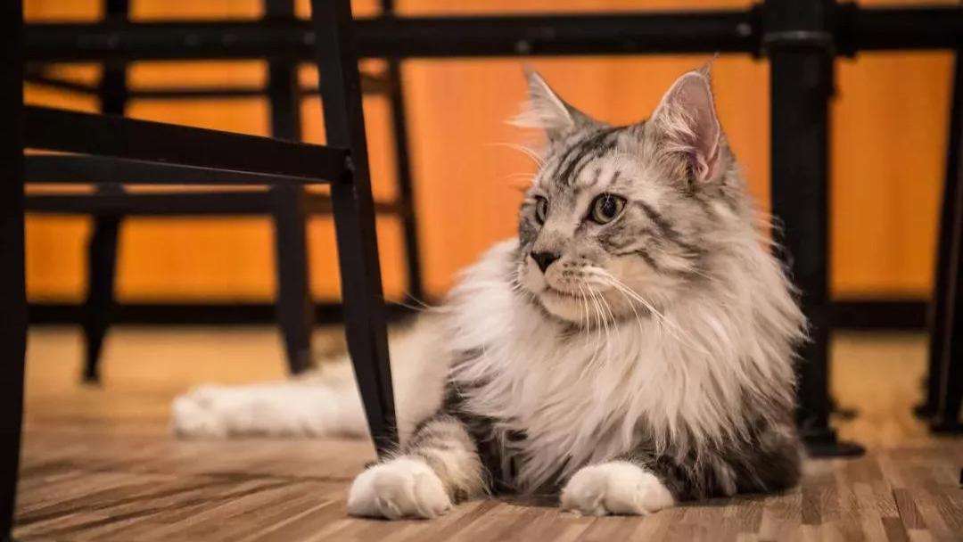 成人不自在，自在不成人