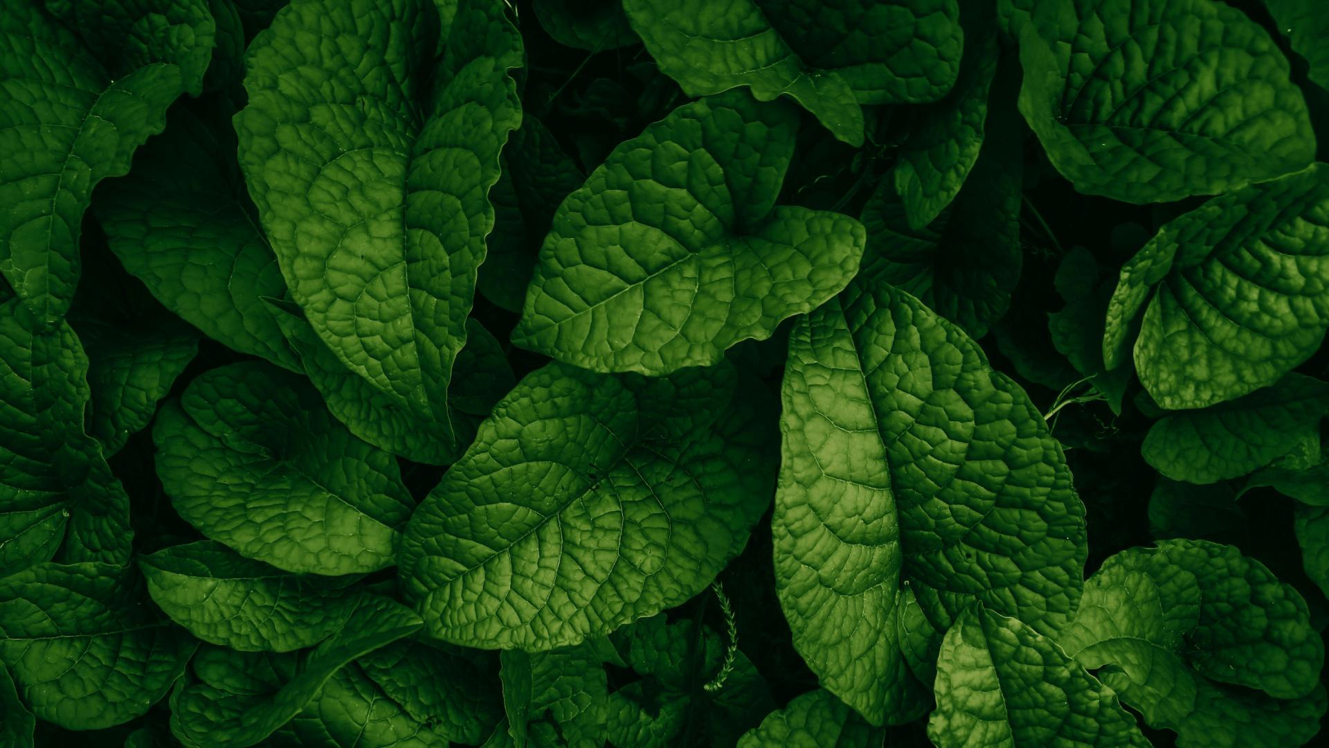 青岛安遇咨询：做到这点，挽回前任一招致胜！