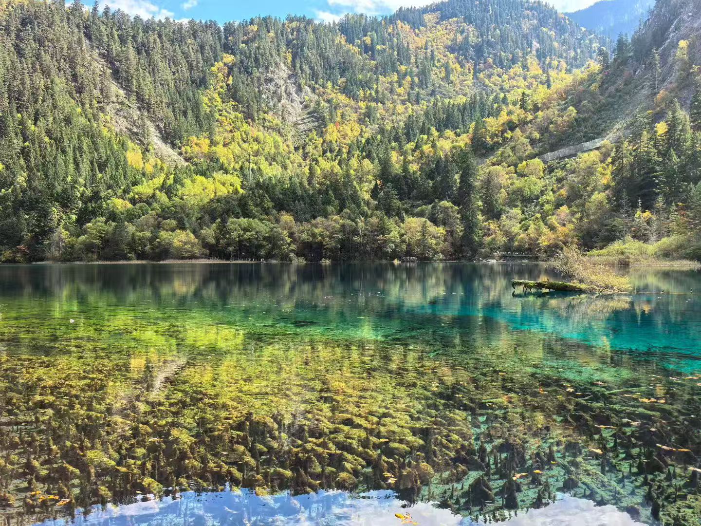四川九寨沟🍂一入秋冬就美成童话仙境！