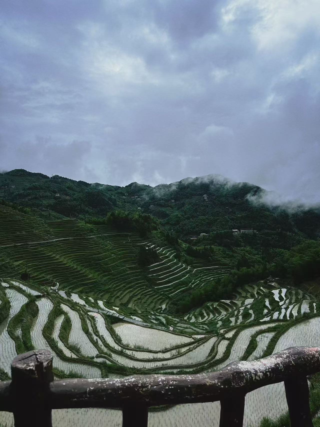 湖南娄底游，紫鹊界梯田美景攻略！