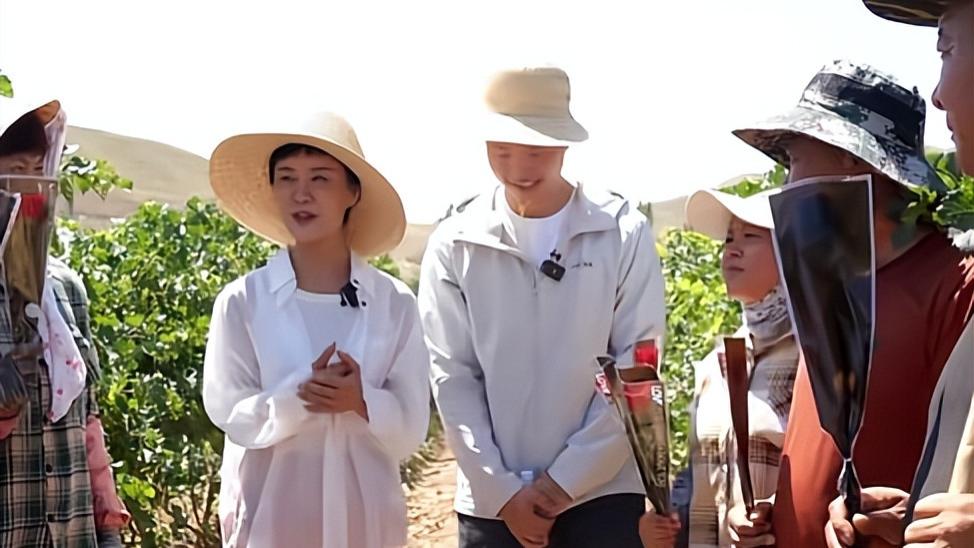 2026年最大的意难平，把新疆带火了，你却走了，真的难以接受