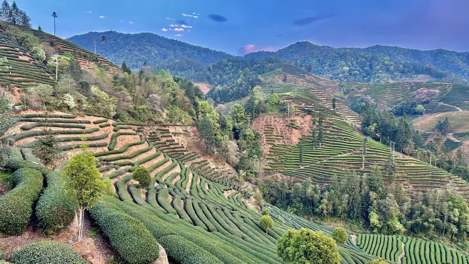 灯具SAA认证申请流程全解