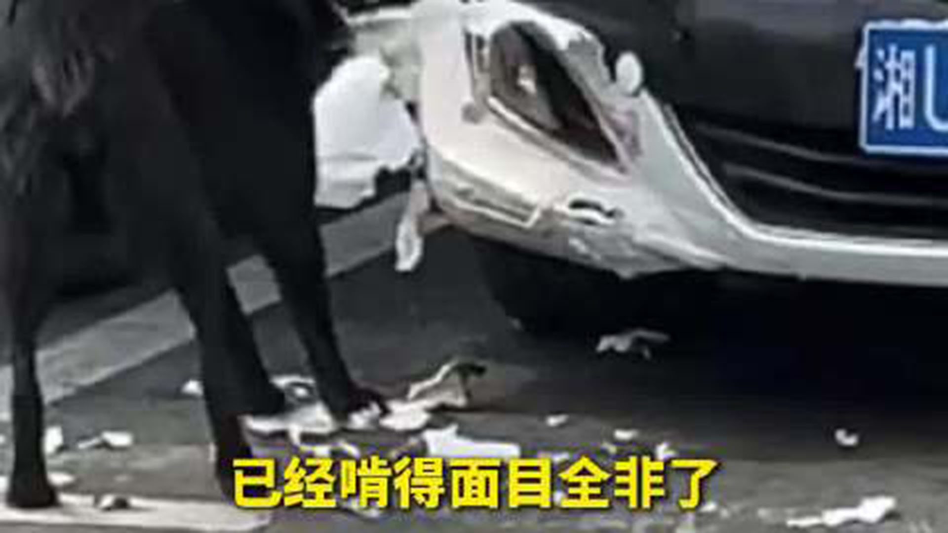 车主按了下喇叭驱赶拦路狗，回来一看车被狗给“拆”了！谁赔？广州车主懵了：鸣笛赶走两只狗，车却被它报复