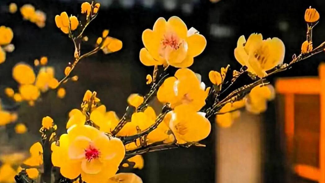 中年人都有两面性，一面坚不可摧，一面脆弱至极