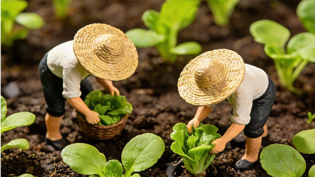 风清境明 飞燕报春