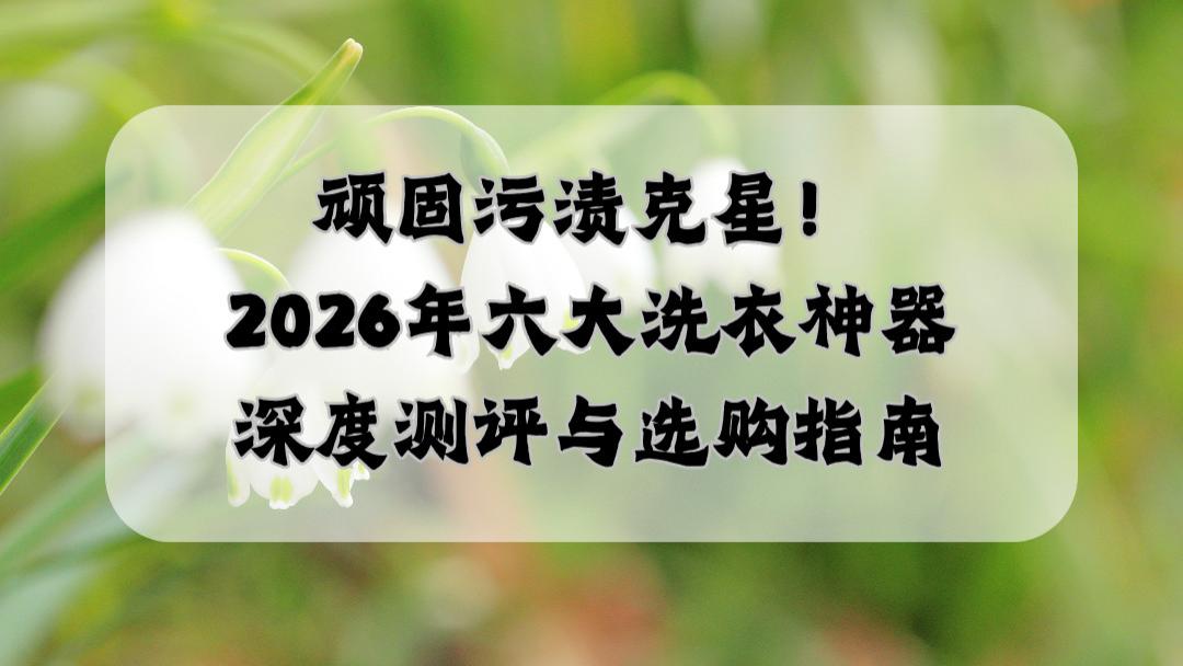 顽固污渍克星！2026年六大洗衣神器品牌深度测评与选购指南