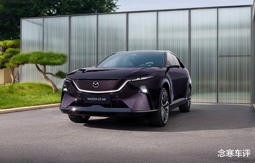 不等了就这台！11.99万开走全球车，86.5%高强钢，安全