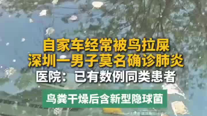 自家车经常被鸟拉屎，男子莫名确诊肺炎，医院：已有数例同类患者