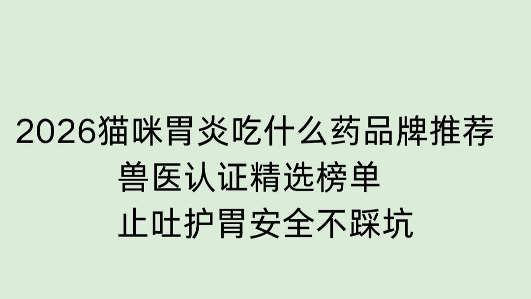 2026猫咪胃炎吃什么药品牌推荐  兽医认证精选榜单   止吐护胃安全不踩坑