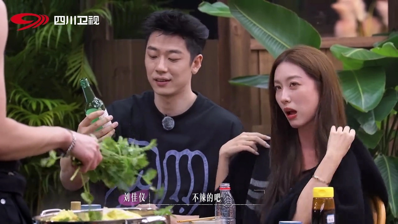 《势均力敌的我们2》陆彦廷明明很优秀，刘佳仪为何不喜欢他？