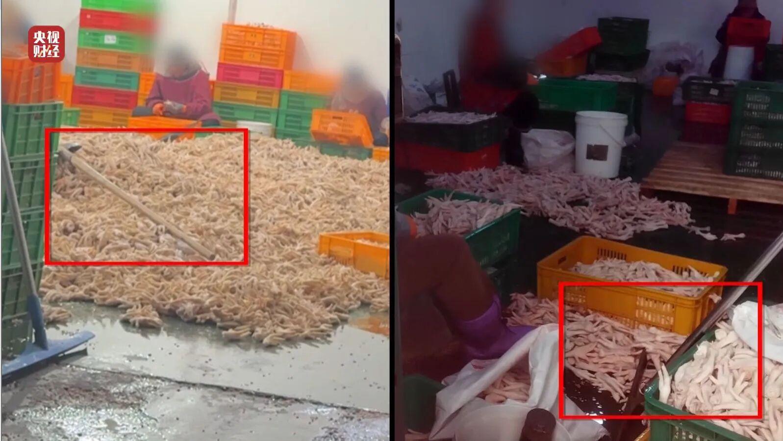 网红鸡爪的“双面人生”：工人踩过的食材，咋就成了你深夜追剧的“解压神器”？