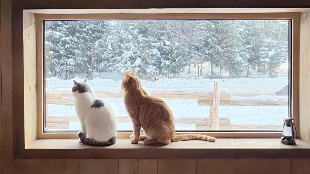 一秒都不要花在别人身上