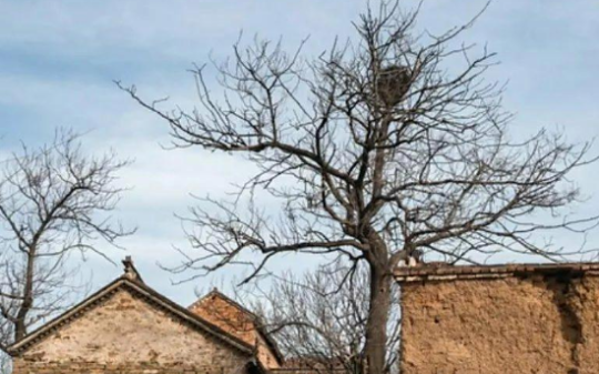 现在的世界局势很不稳定，如果爆发第三次世界大战，现金将彻底不值钱，必须准备这几样救命的东西…