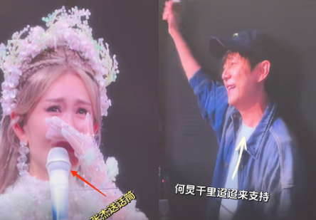 谢娜演唱会，
我发现一个很有意思的细节，
那就是她手上拿着的话筒，这个话筒是老公