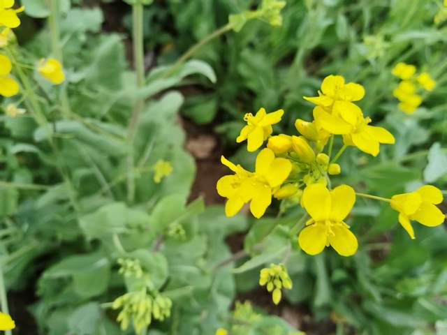 高三二测过后，家长稳情绪定状态，帮孩子找回学习节奏才是关键