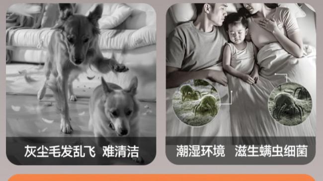 除螨仪哪个品牌最好最实用？2026年度除螨仪排行榜10强？2026家用除螨仪排行榜前十名汇总，保姆级