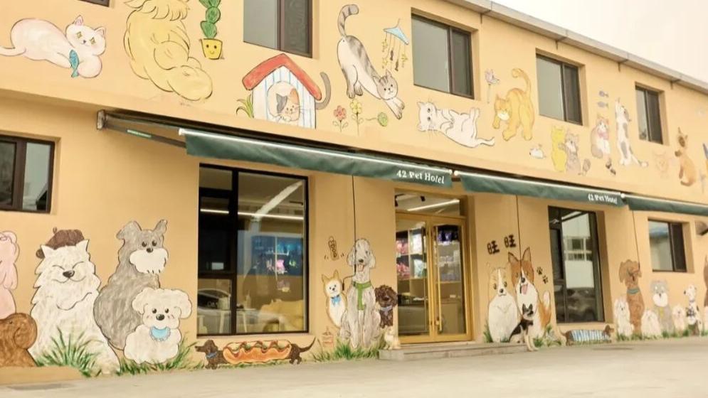 宠物寄养酒店卖到240元一晚，人住的酒店都集体沉默了…