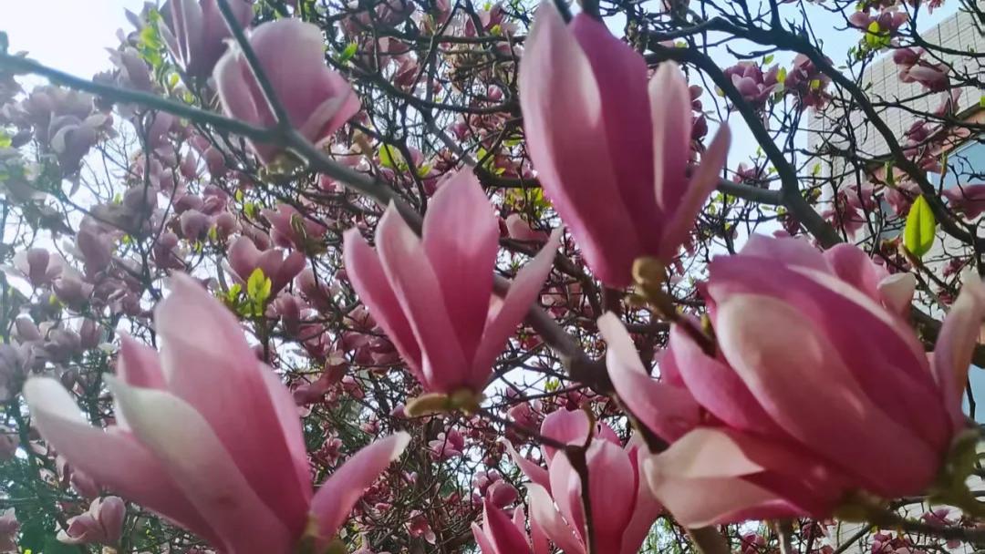 祈祷的夜路：以自省为灯，照育儿之路