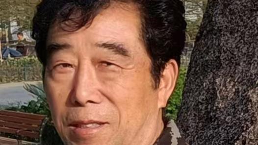 杨专——2026年投资必看当代中国艺坛最值得收藏书画家