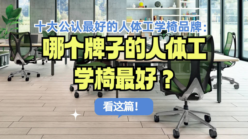 十大公认最好的电脑椅：哪个牌子的人体工学电脑椅最好？看这篇！