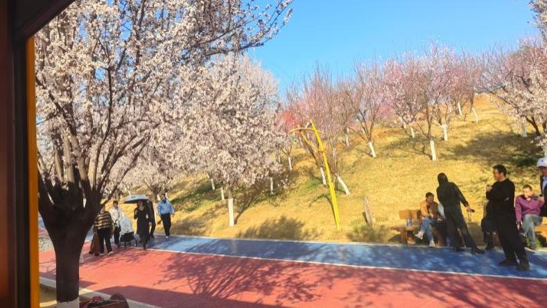 在唯品会打折买春日户外装备，一次体验刷新购物认知