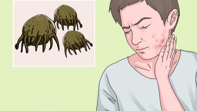 除螨仪真的好用吗？除螨仪哪个品牌最好？权威发布除螨仪10大品牌排行，一文助你选对！