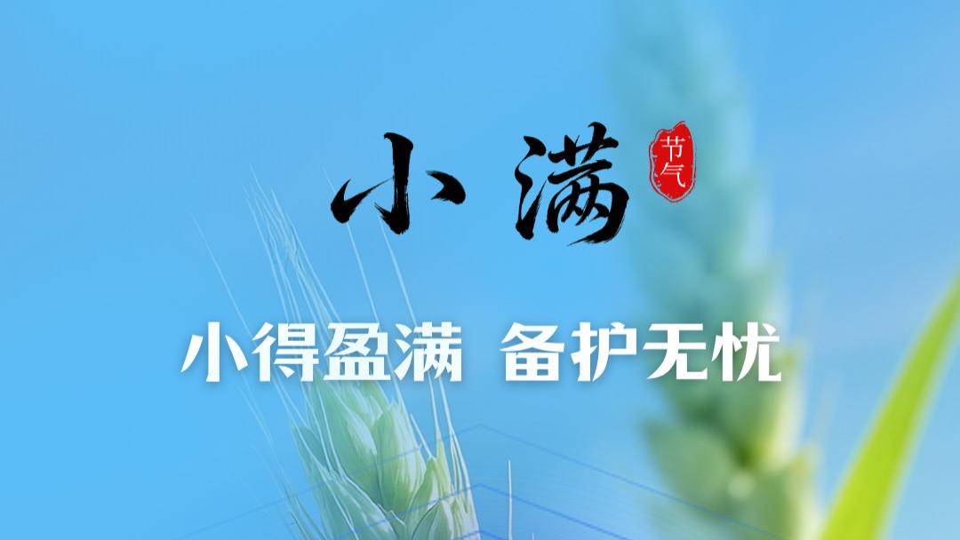 小满｜丰盈将至，坚守如初