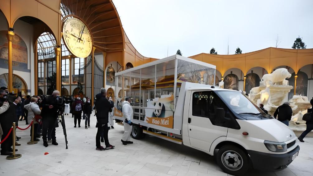 为了熊猫，外国人能有多“卑微”？这些操作笑死又暖哭！