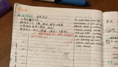 暴躁鸭雅思学员雨欣：作为高二艺术生，雅思对我就像一幅抽象画