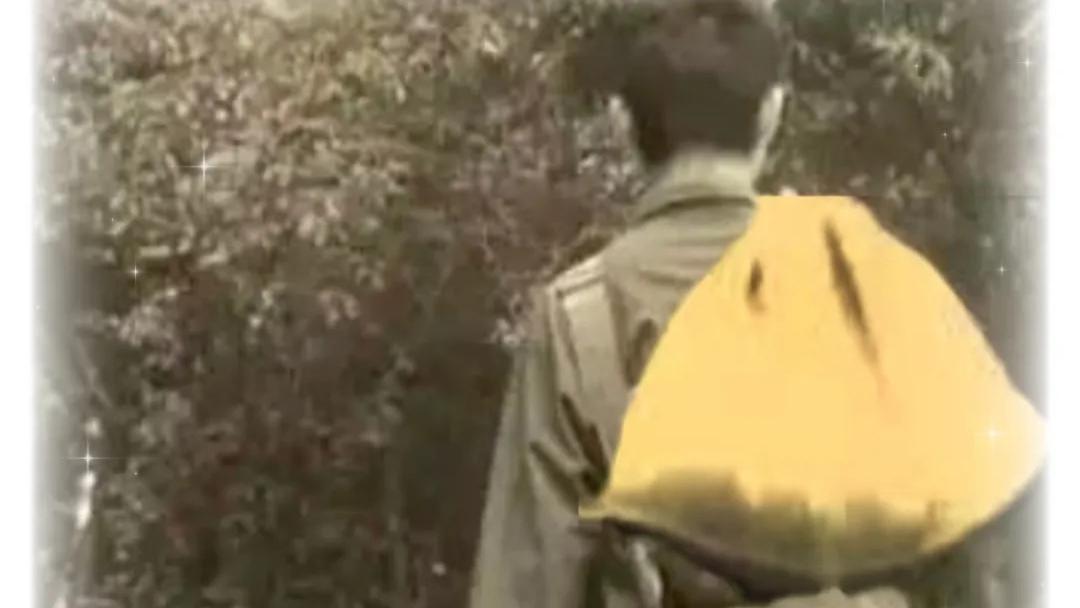 馍香深处是吾乡——读王成伦《兜兜馍香犹记母亲恩》有感