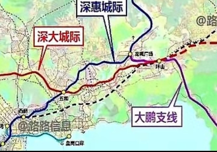 深圳与上海：两种城市发展路径的对比与未来展望