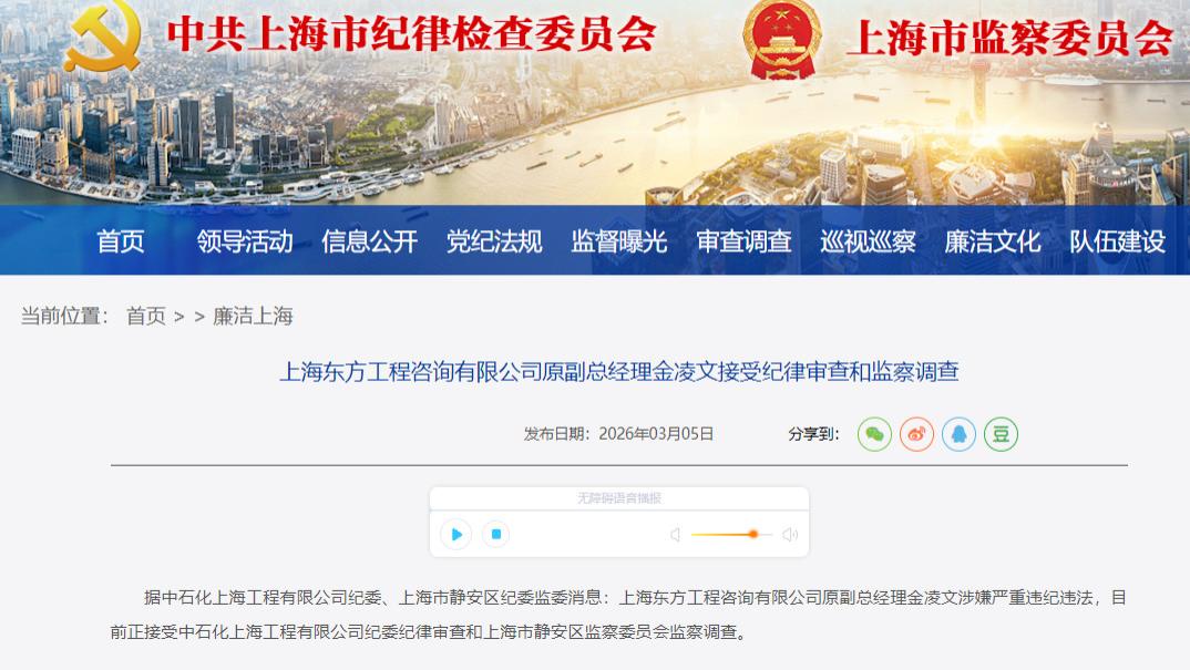 上海东方工程咨询有限公司原副总经理金凌文被查，赋史记·金凌文列传