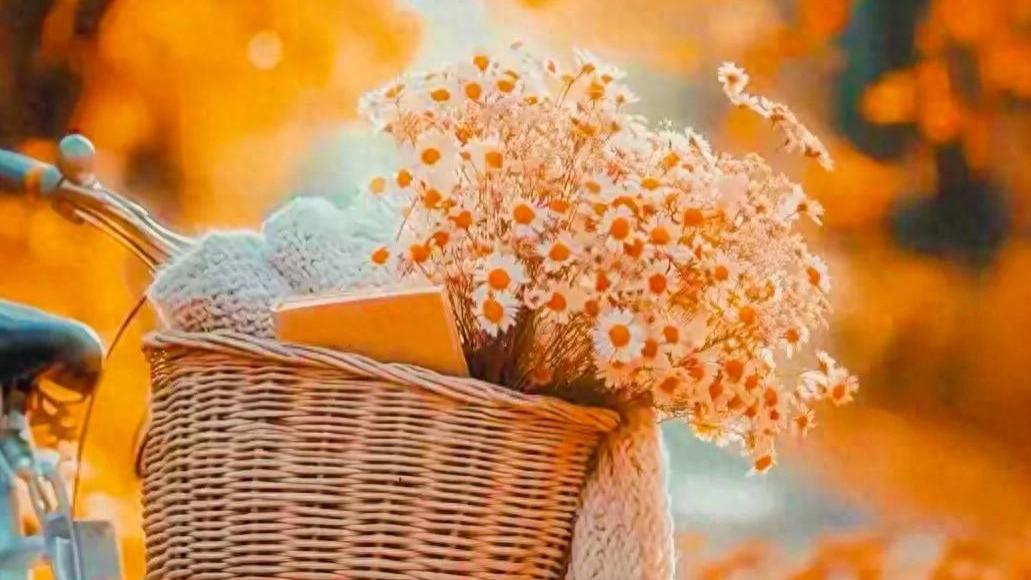 接受自己，宽容自己，珍爱自己，善待自己