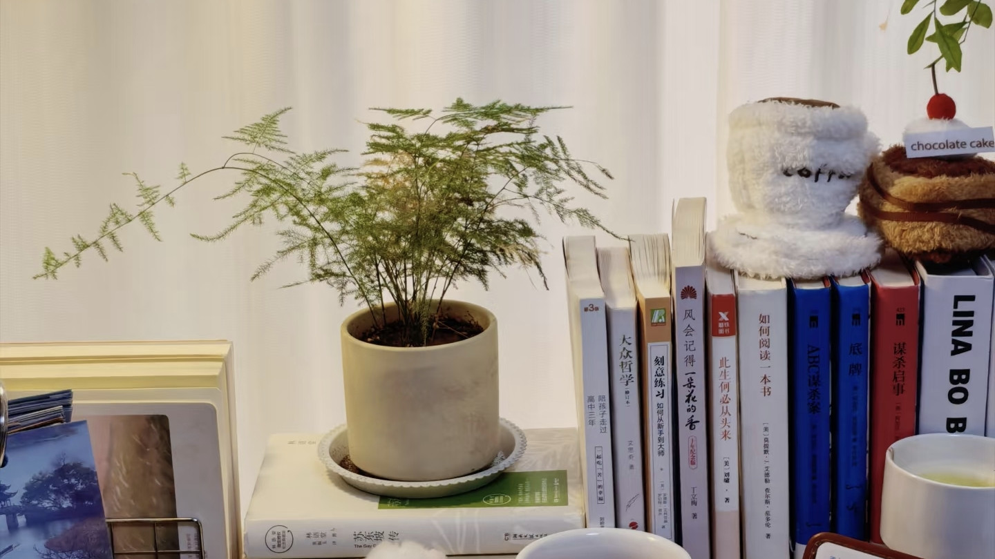 人到中年才明白：合群是淘汰的开始