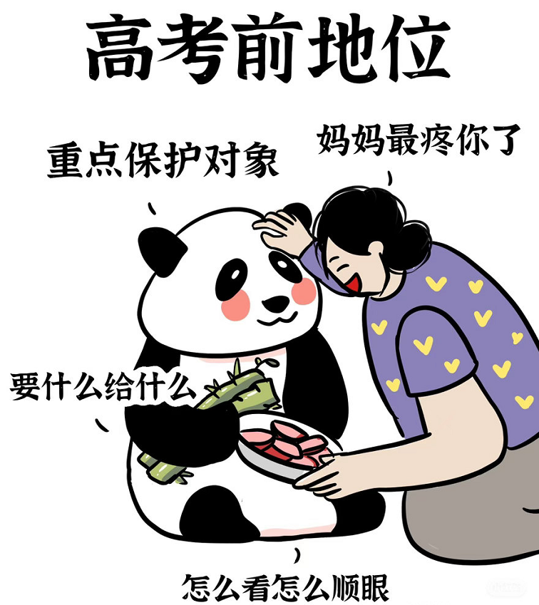 高考落幕，不少家长调侃孩子从全家呵护的“国宝熊猫”，变成无人特殊关照的“流浪猫”