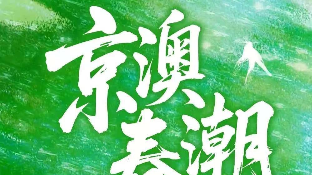 推文：双强高智商男女主  双向救赎 《京枝难攀》