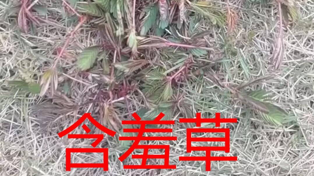 《告别赌博、彩票、股票宣言》