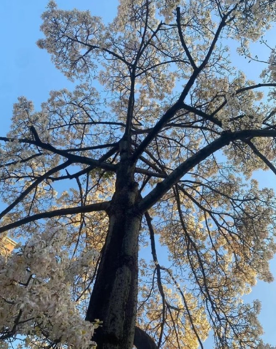 天呐，我今天听到一句好震撼的话。

“对，我是运气好，因为我一直在往前走，运气就