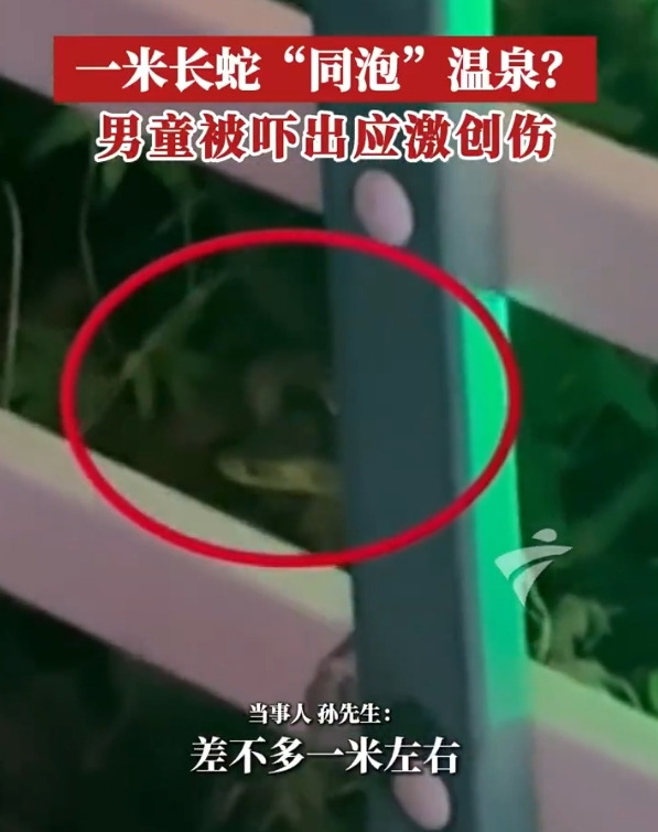 太吓人了...
户外临水、山林游玩隐患重重，尤其傍晚时段，蛇虫出没频繁，依山而建