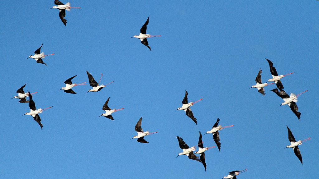 人生般若：有、无、空、有无空