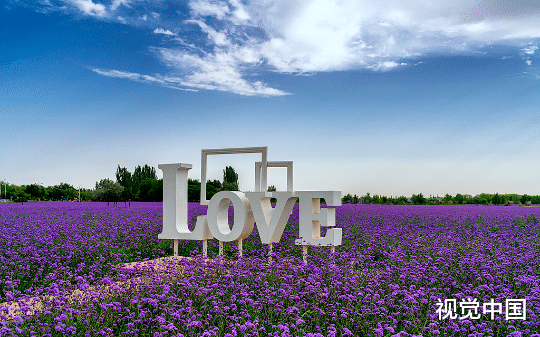 他曾许我余生，却又亲自悔诺，我离开后他悔疯了