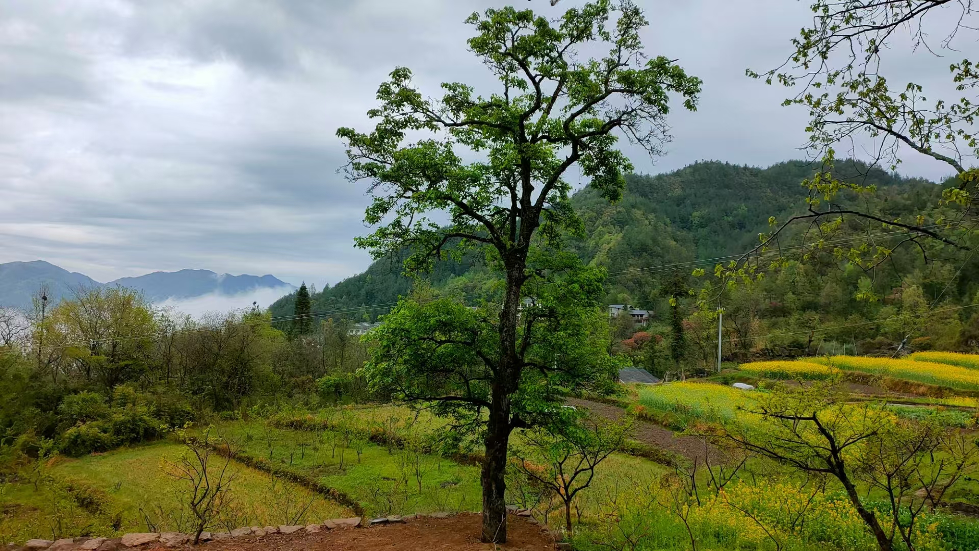 便携暖奶杯出口美国FDA食品接触安全检测